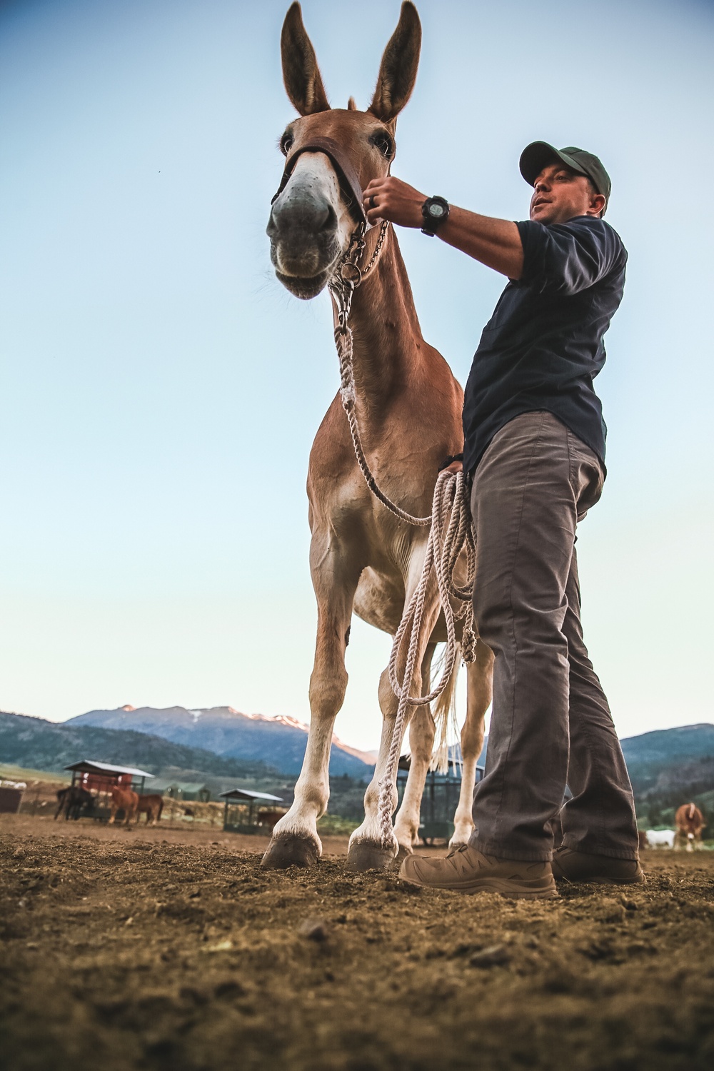 SOF Horsemanship Course