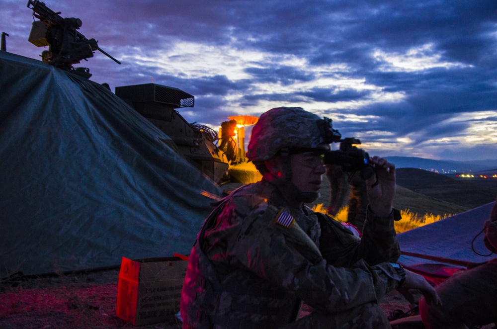 81st Stryker Brigade Combat Team Annual Training