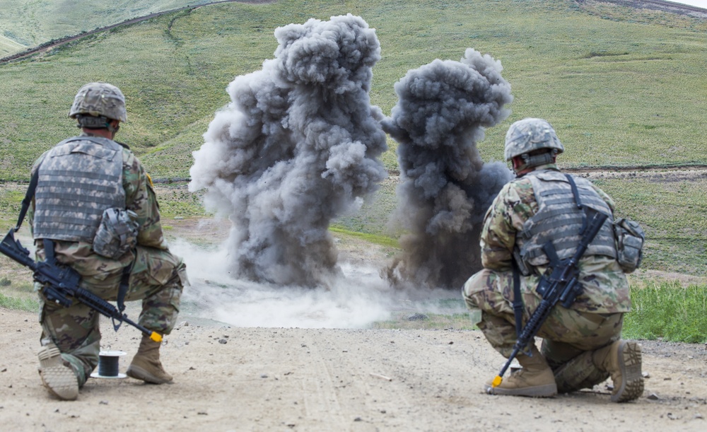 81st Stryker Brigade Combat Team Annual Training