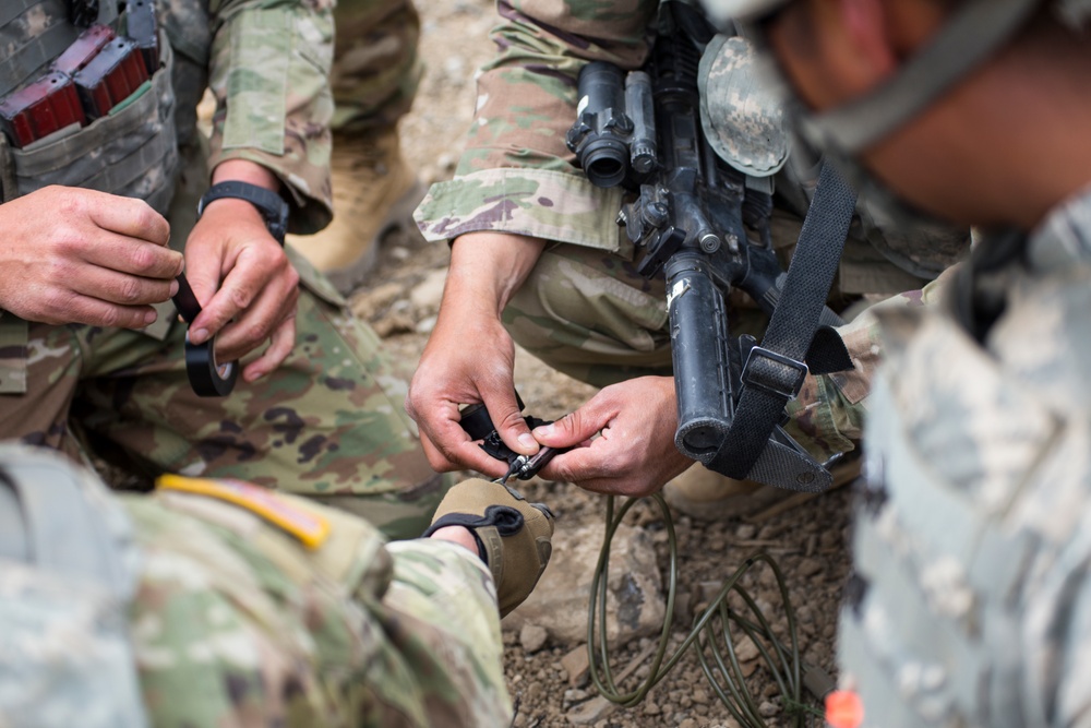 81st Stryker Brigade Combat Team Annual Training