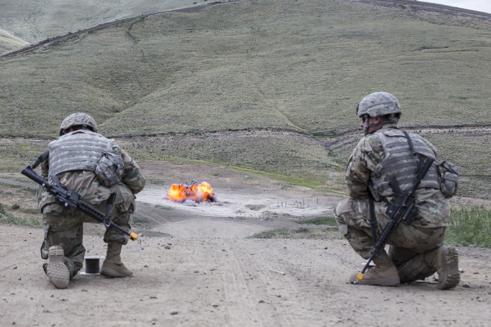 81st Stryker Brigade Combat Team Annual Training