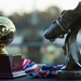 CG's Cup soccer league championship game