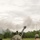 New Ohio National Guard field artillery battery hits the mark with new guns during annual training
