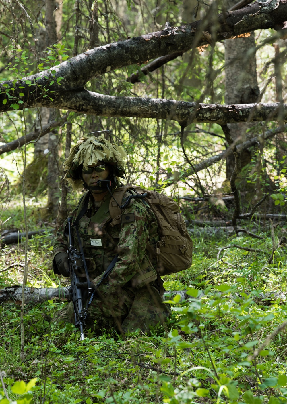 Japanese and U.S. Soldiers conduct joint training during Arctic Aurora 2018