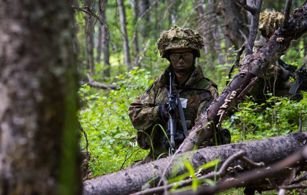 Japanese and U.S. Soldiers conduct joint training during Arctic Aurora 2018