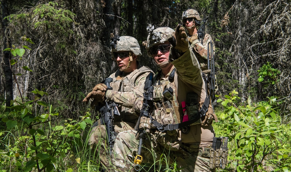 Japanese and U.S. Soldiers conduct joint training during Arctic Aurora 2018