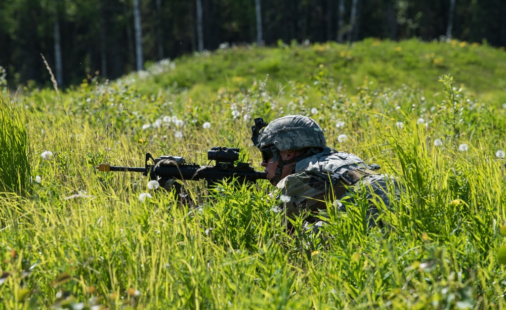 Japanese and U.S. Soldiers conduct joint training during Arctic Aurora 2018