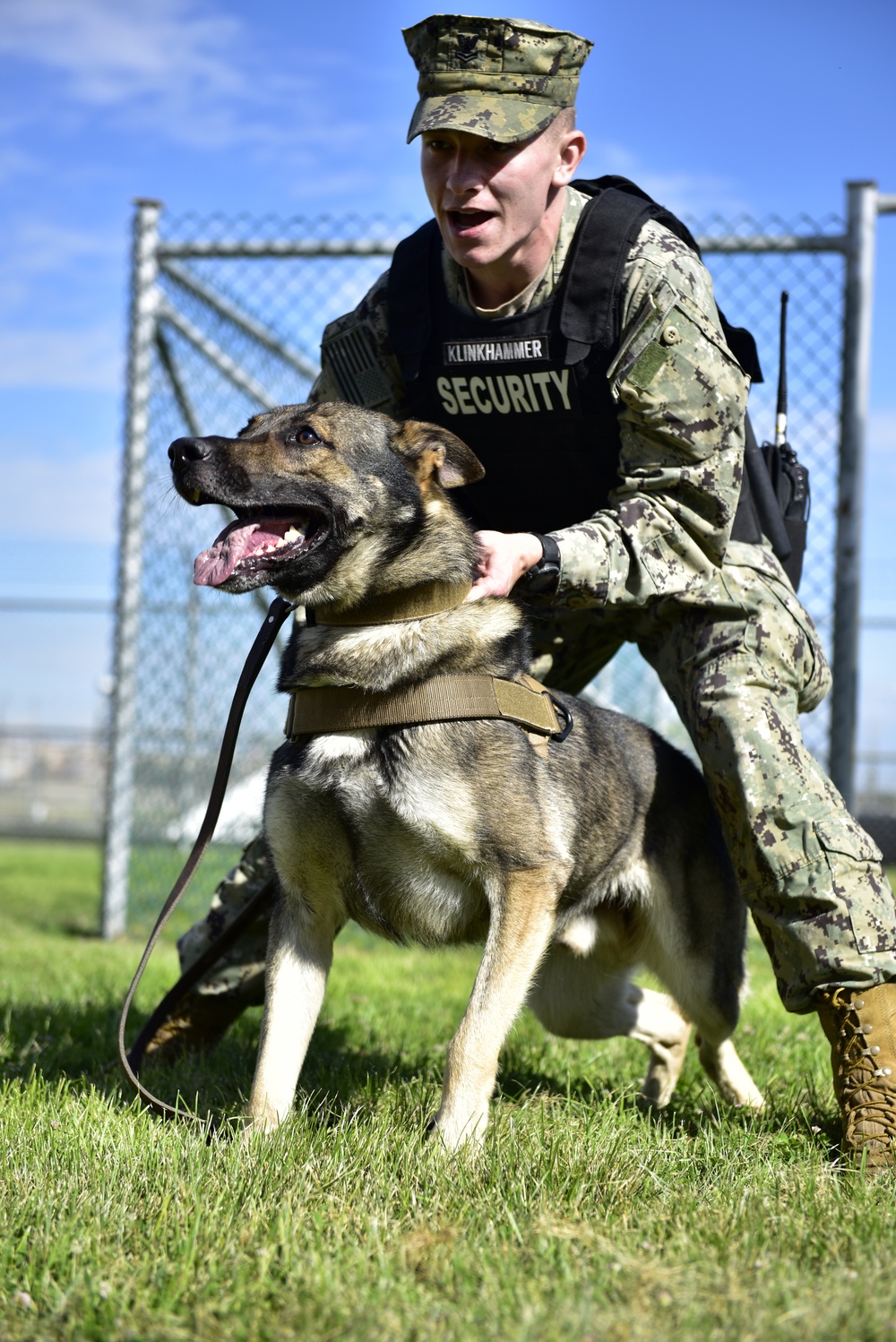 Military Working Dogs at NSA Naples