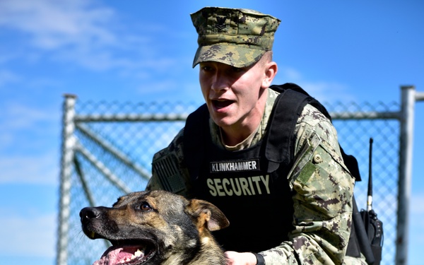 Military Working Dogs at NSA Naples