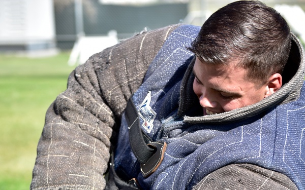 Military Working Dogs at NSA Naples