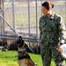 Military Working Dogs at NSA Naples