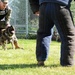 Military Working Dogs at NSA Naples