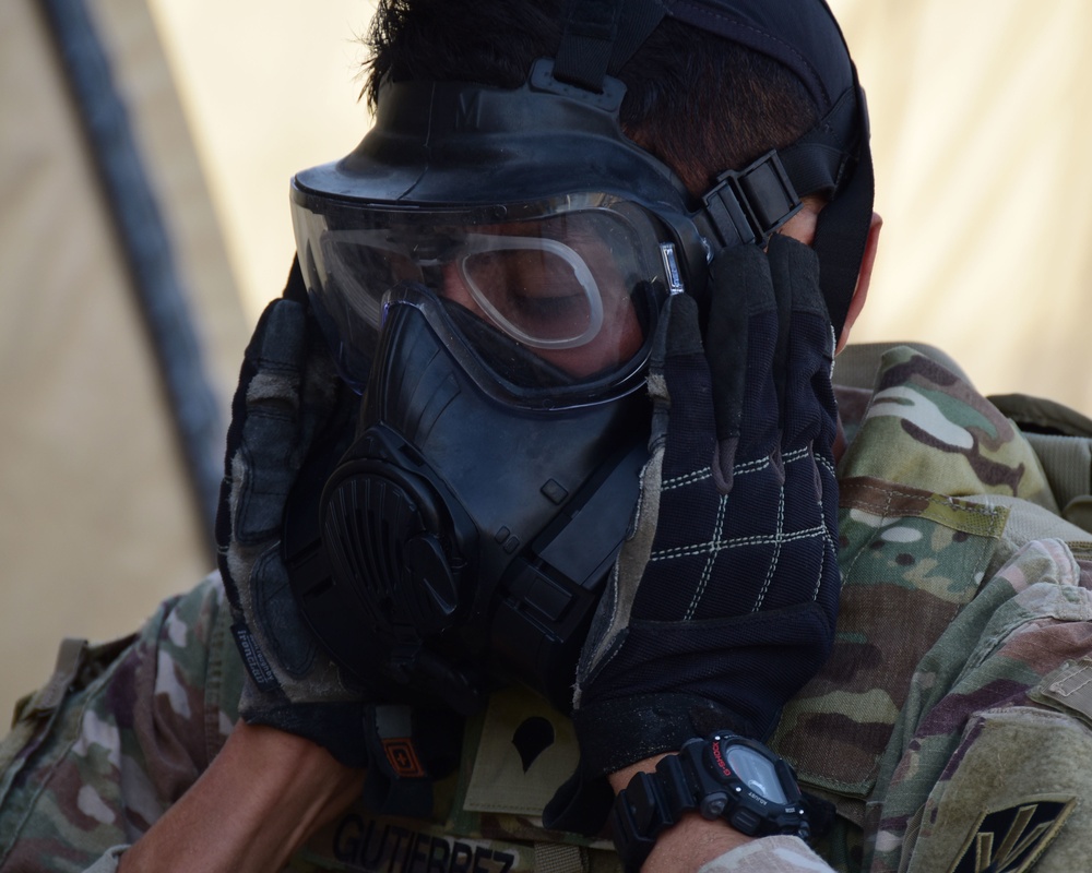 Soldiers test their limits through Best Warrior Competition