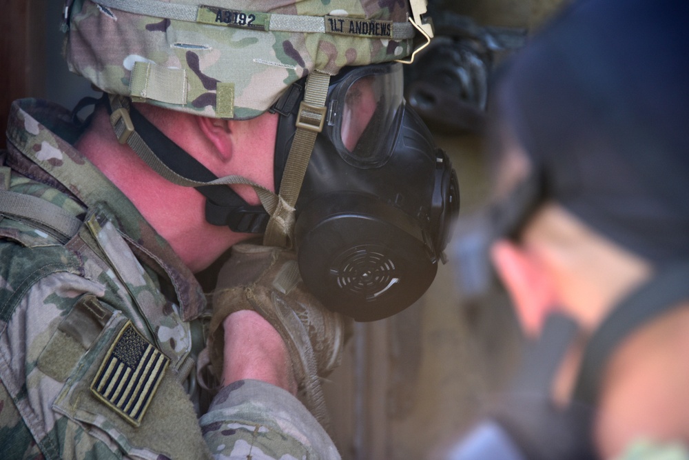 Soldiers test their limits through Best Warrior Competition