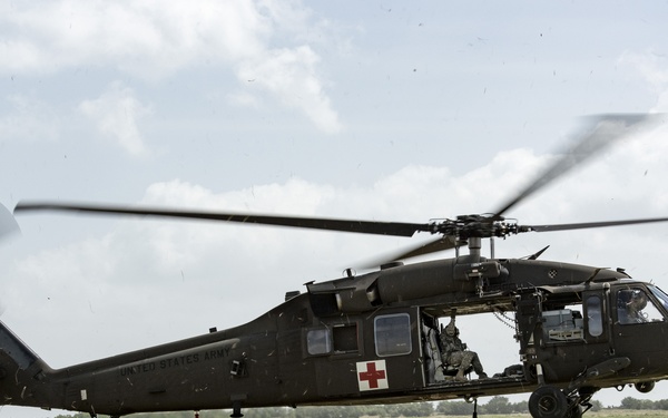 Operation Lone Star Vigilance