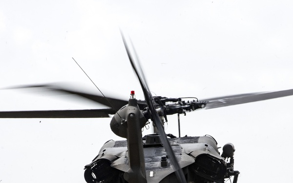 Operation Lone Star Vigilance