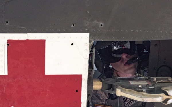Operation Lone Star Vigilance