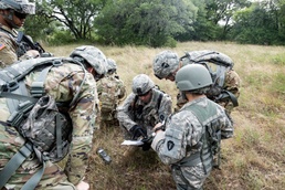 Operation Lone Star Vigilance