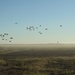 82nd Airborne Jump