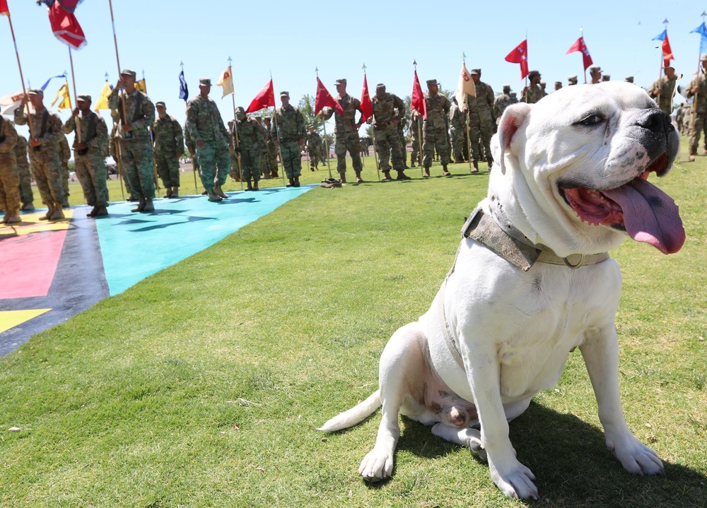 SSG Cody Chester's promotion and retirement ceremony