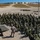 Canadian Armed Forces and USMC conduct Amphibious Assault Training During RIMPAC 2018