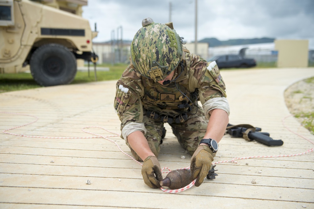 EOD Conducts Training Drills