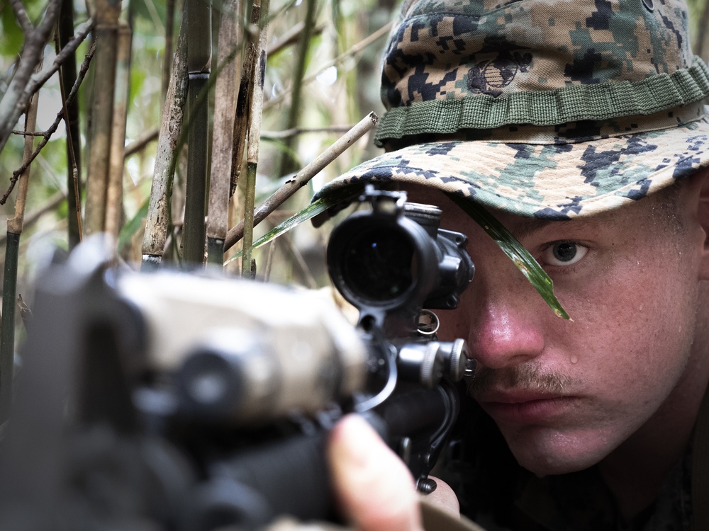 Marines Patrol at the Jungle Warfare Training Center