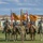 11th Armored Cavalry Regiment Change of Command