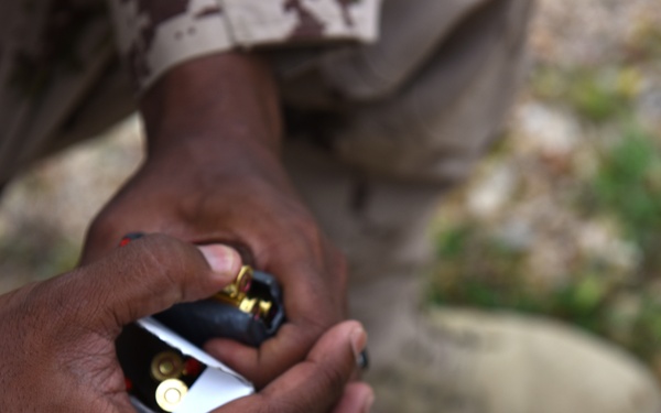 Ohio National Guard builds partnerships at Platinum Wolf 2018