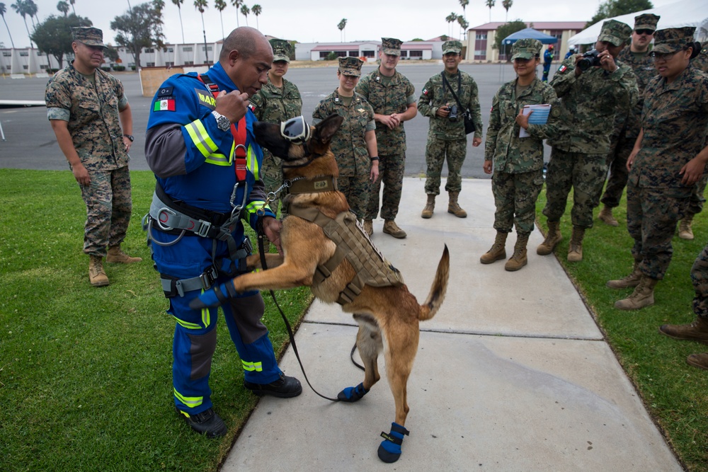 Mexican sailors demo HADR capabilities during RIMPAC