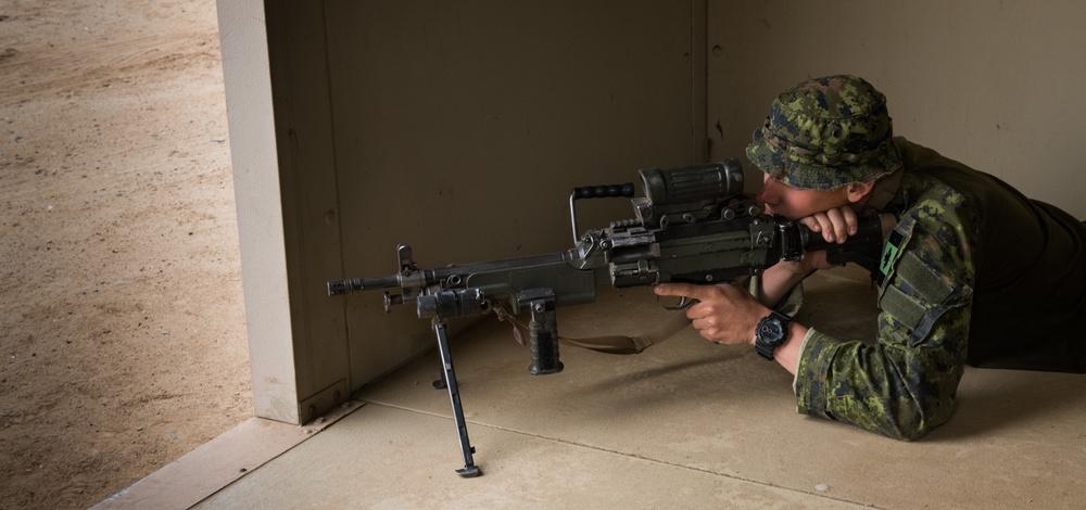 AAV Loading and Unloading Practice RIMPAC 2018