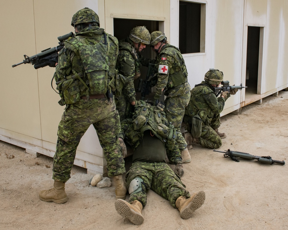 AAV Loading and Unloading Practice RIMPAC 2018