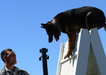 Train like you fight: Recce MWDs receive new training area