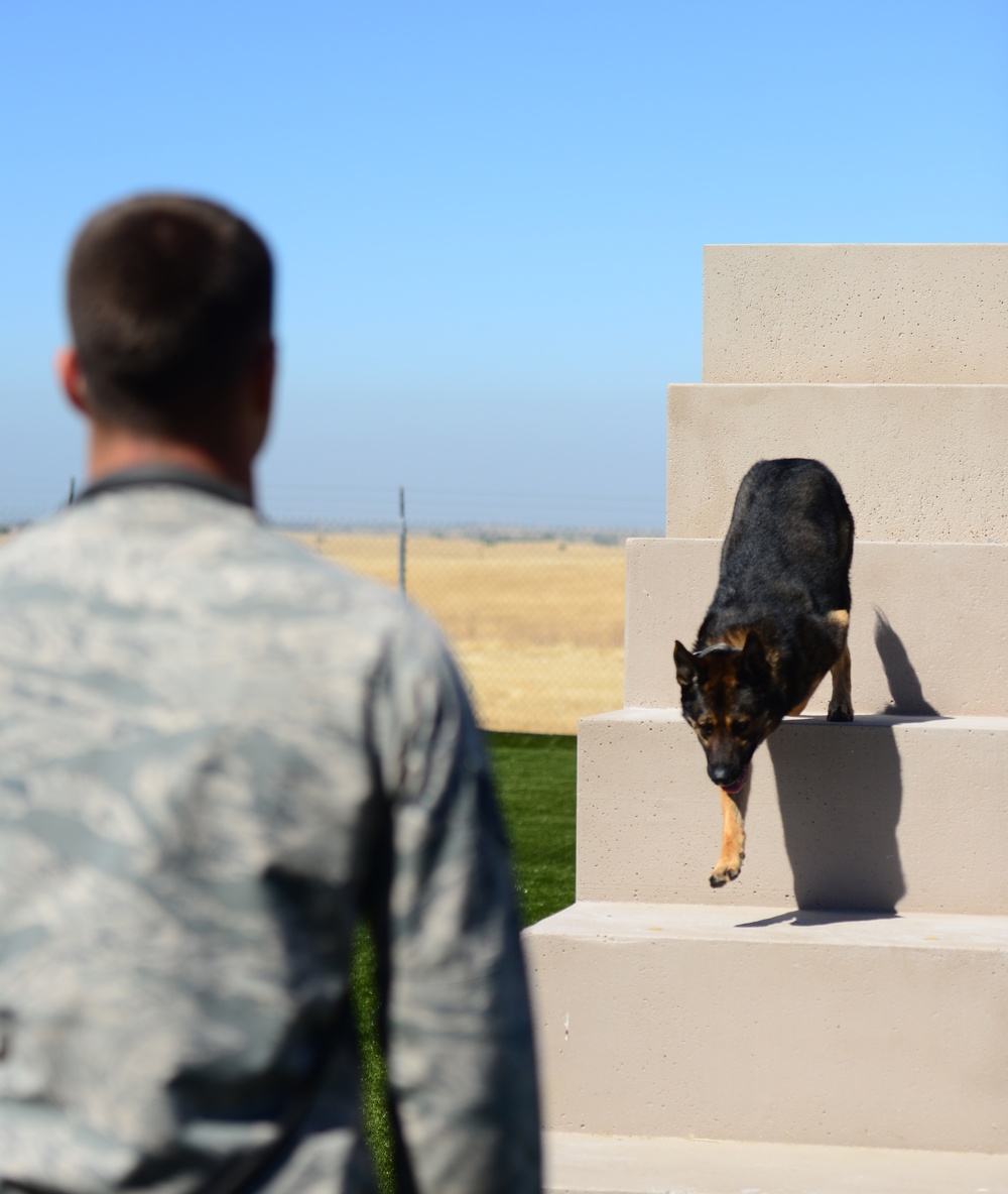 Train like you fight: Recce MWDs receive new training area