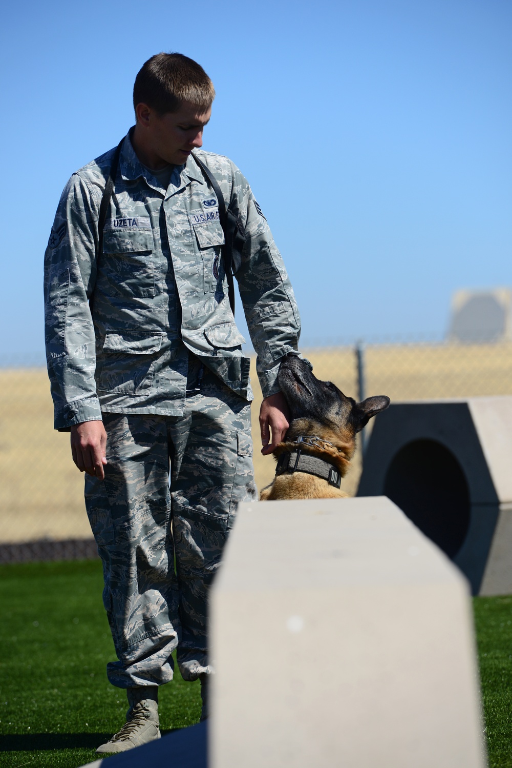 Train like you fight: Recce MWDs receive new training area