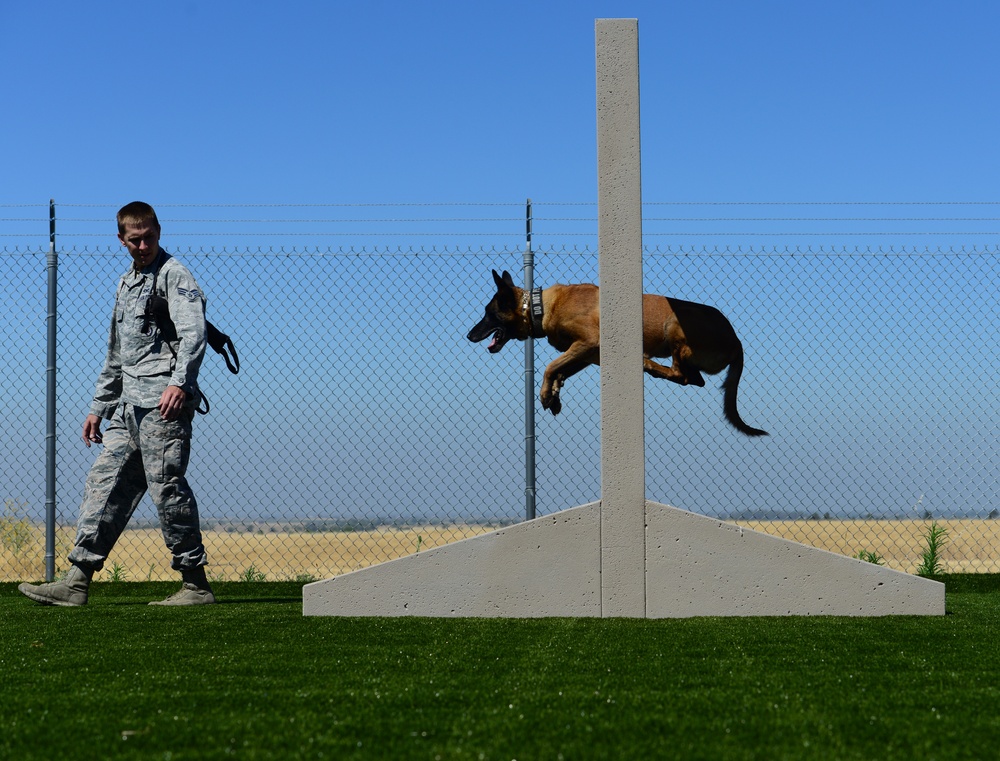 Train like you fight: Recce MWDs receive new training area