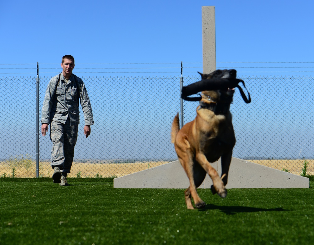 Train like you fight: Recce MWDs receive new training area