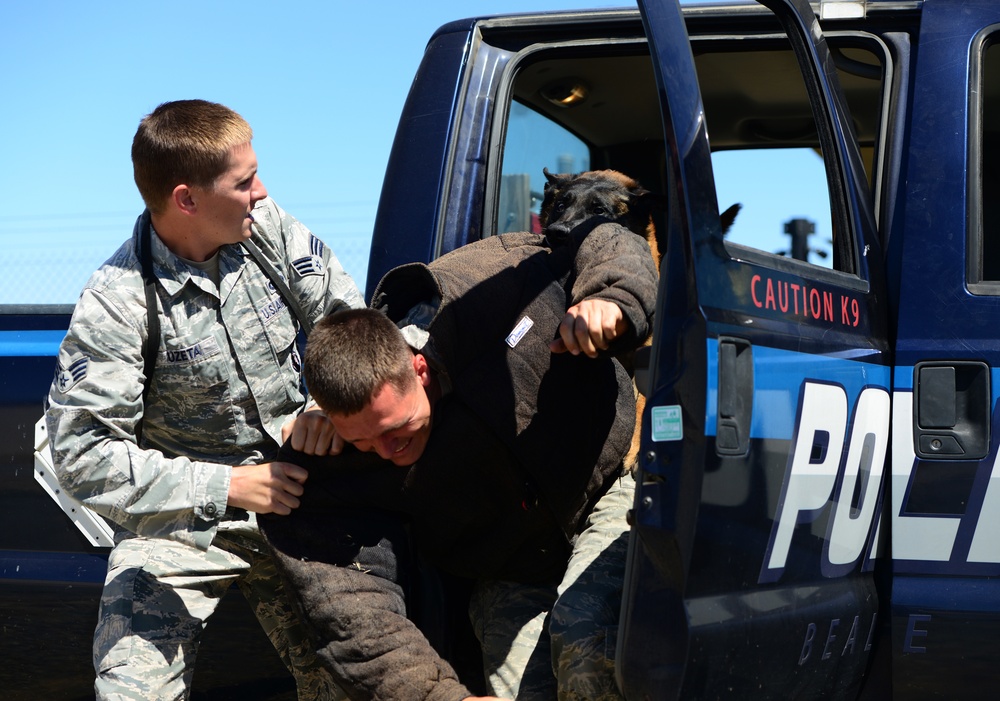 Train like you fight: Recce MWDs receive new training area