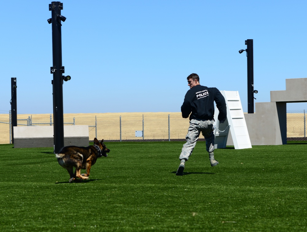 Train like you fight: Recce MWDs receive new training area