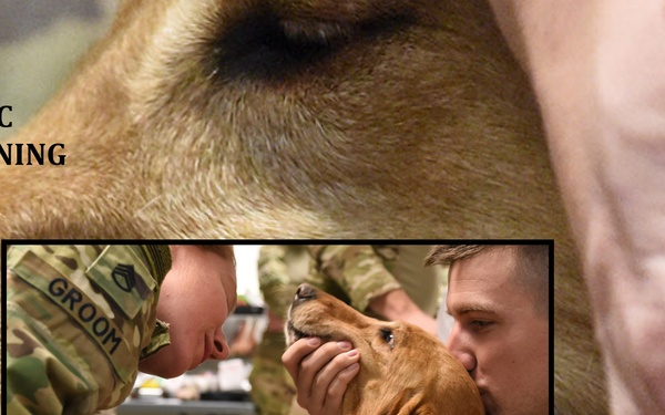 TF Marauder OFS 17-18