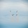 Thunder of Niagara International Air Show 2018