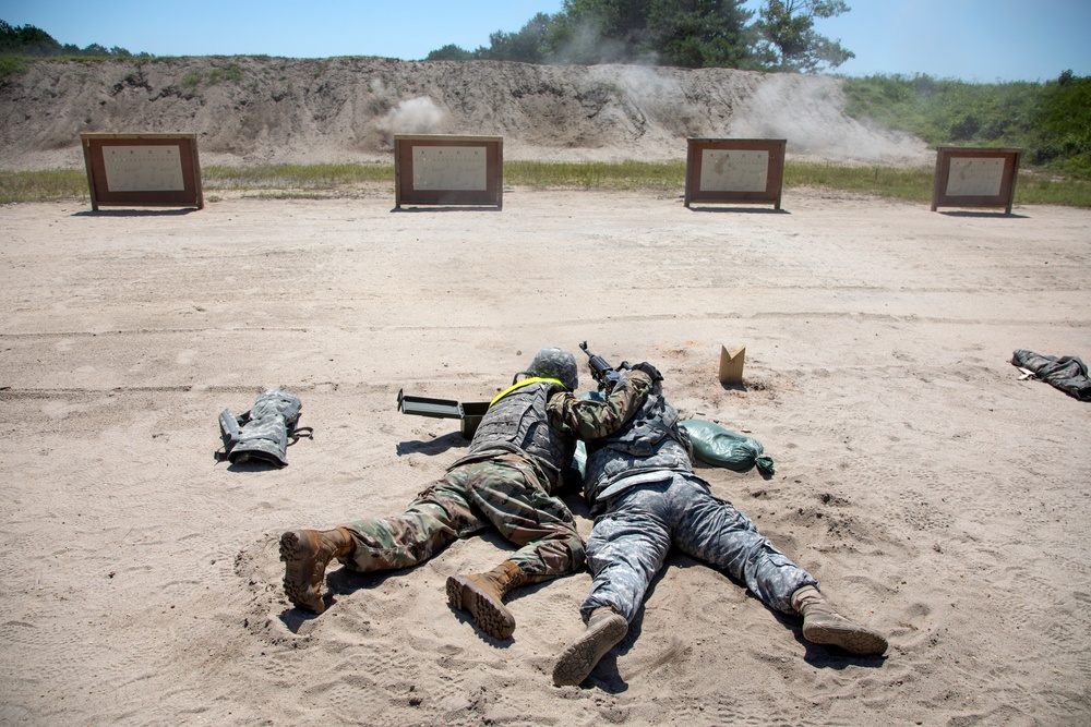 Zeroing in on Task Force Ultimate