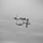 Thunder of Niagara International Air Show 2018