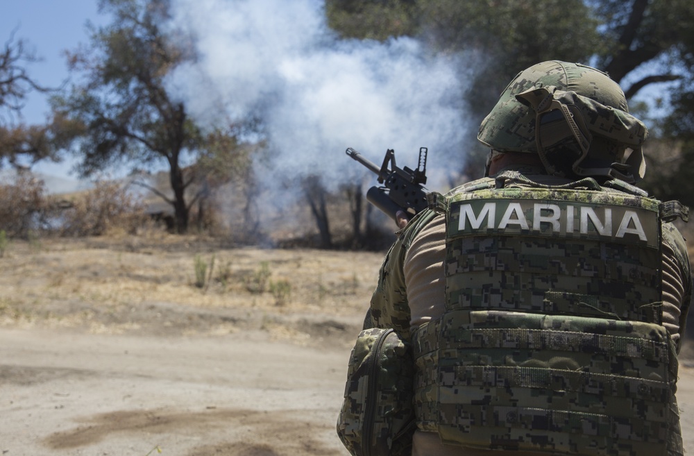 Mexican marines take on ranges during RIMPAC