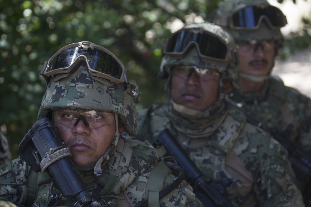 Mexican marines take on ranges during RIMPAC