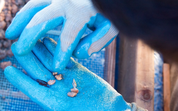 Search for the Fallen in Quang Nam