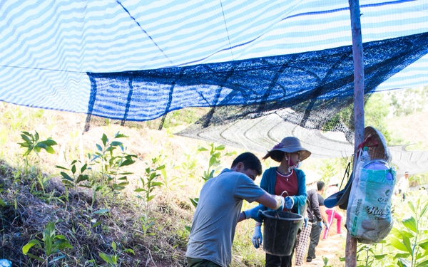 Search for the Fallen in Quang Nam