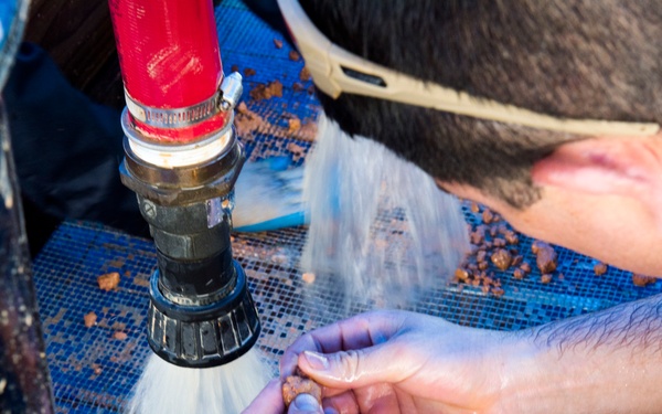 Search for the Fallen in Quang Nam