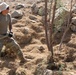 Operation Guardian Support Yuma Arizona