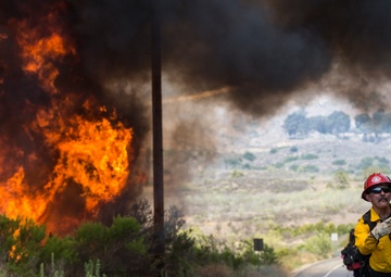 The Vandegrift Incident